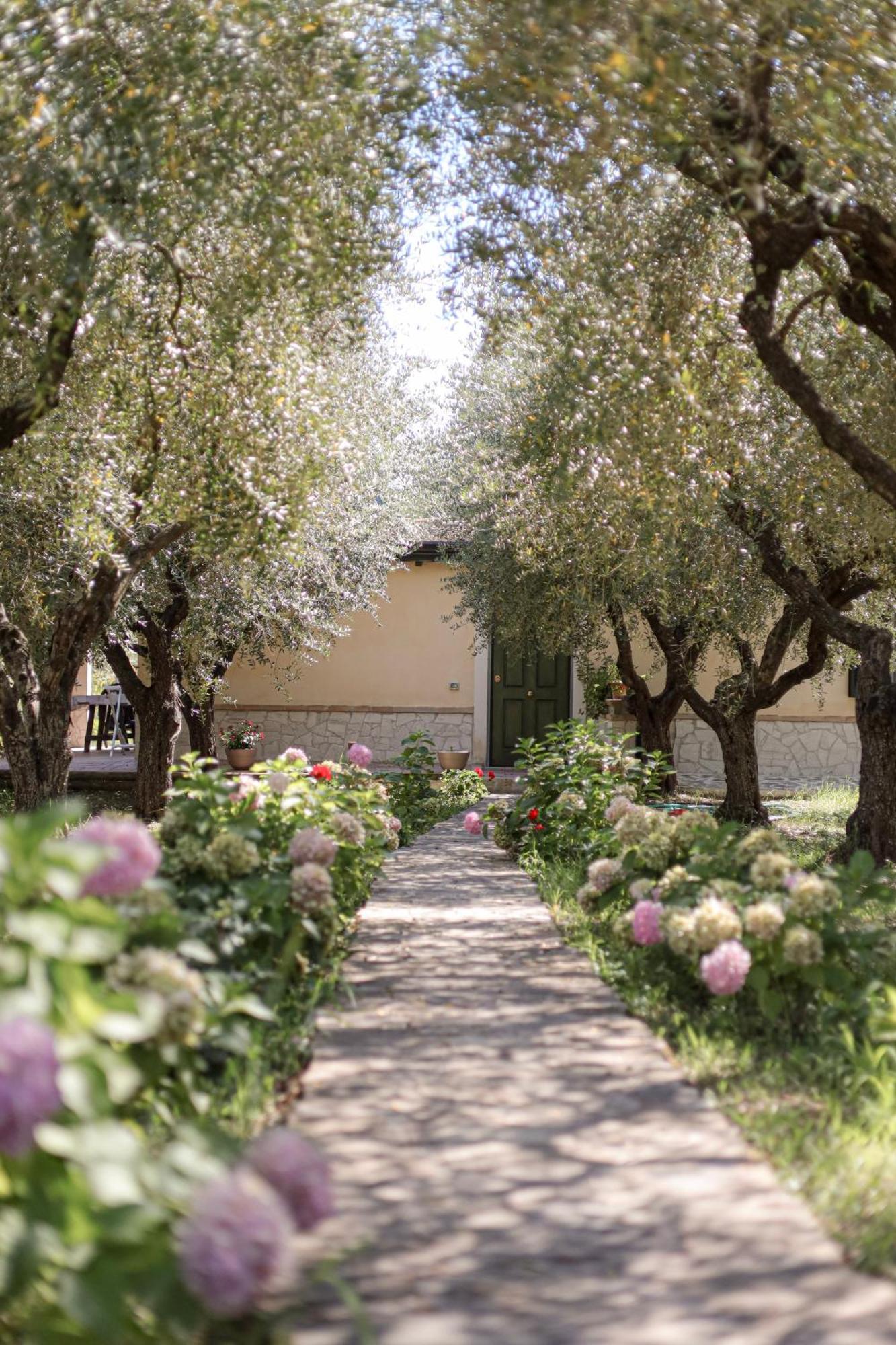 Agriturismo Il Pozzo Casal Velino Exteriér fotografie